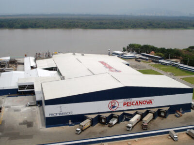 Exportación y Proyectos Internacionales